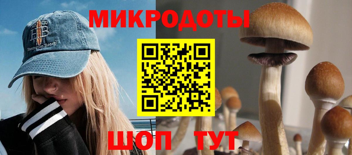 Псилоцибиновые грибы Magic Shrooms Свободный